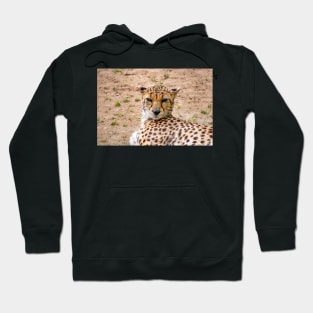 View of a female Cheetah's head Hoodie